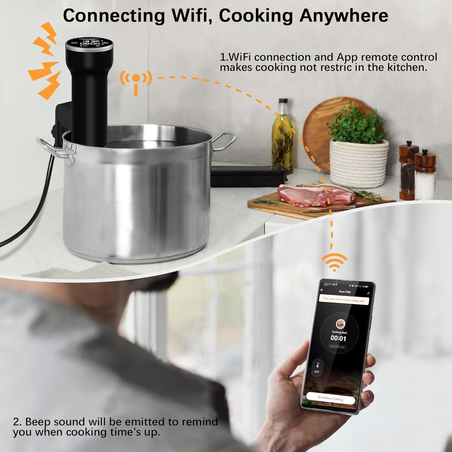 Professional Sous Vide Precision Cooker